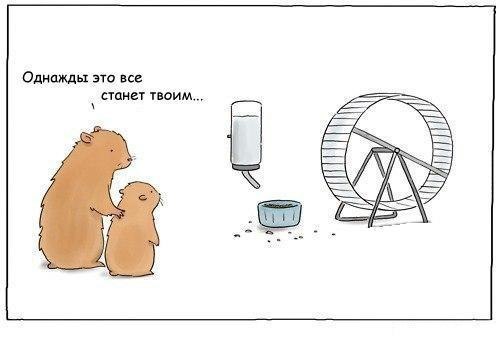 067-VSEj2lLWPd4.jpg