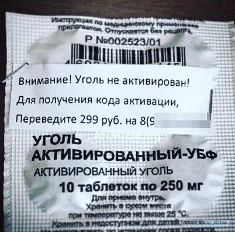 12904464.jpg