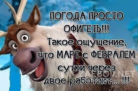1456314235_image-14.jpg