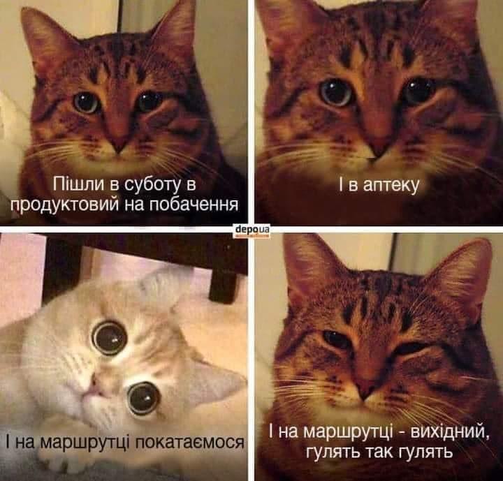 1609413437-2015.jpeg