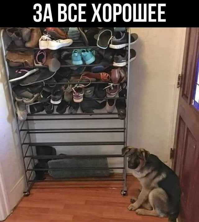1627261558293.png