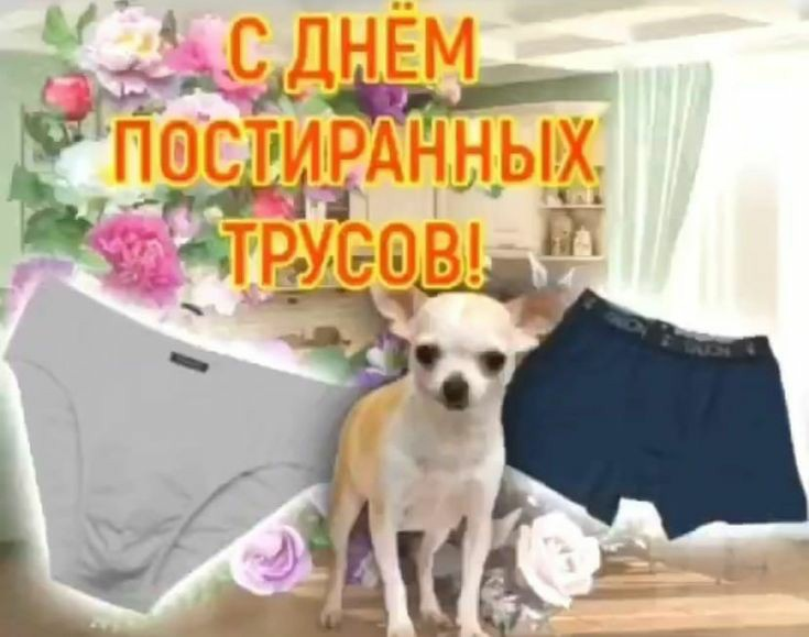1631710825069.png