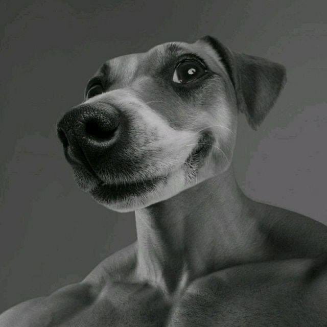 1635456714435.png