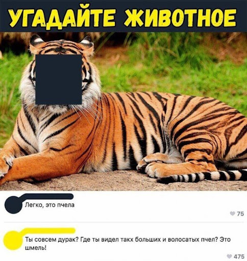 1641471626054.png