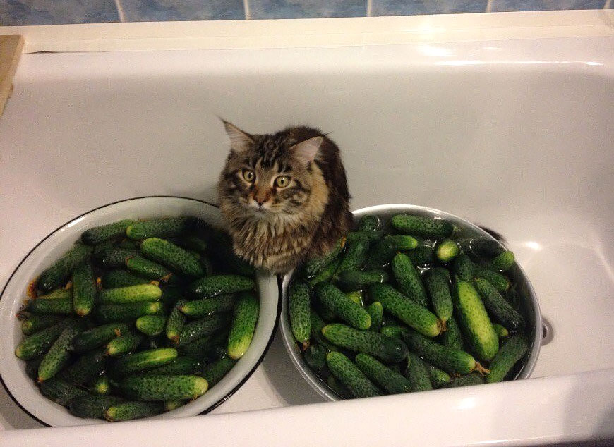 1762073008371.jpeg