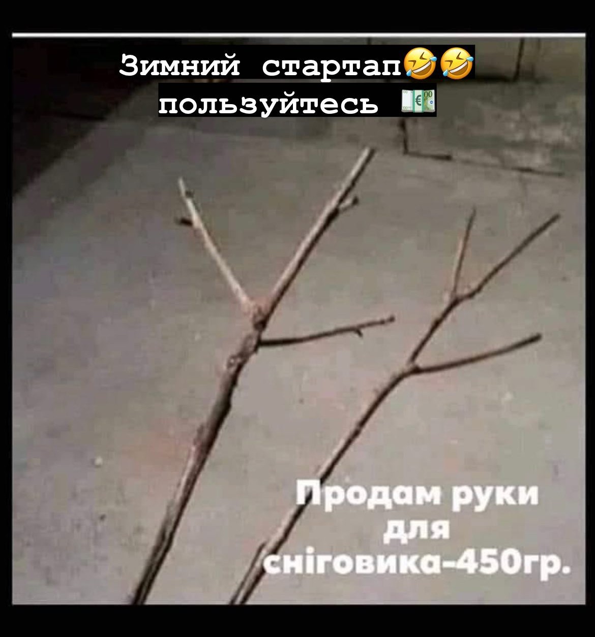 42565hgzf.jpg