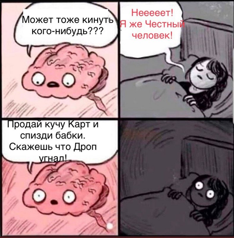 5428013.jpg