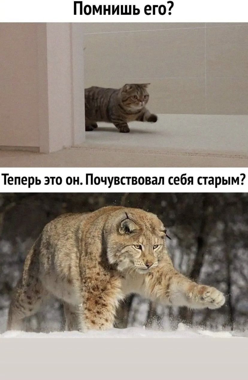 6BB14F97-3CDB-4CC2-975A-D6FACB5DBAC5.jpeg