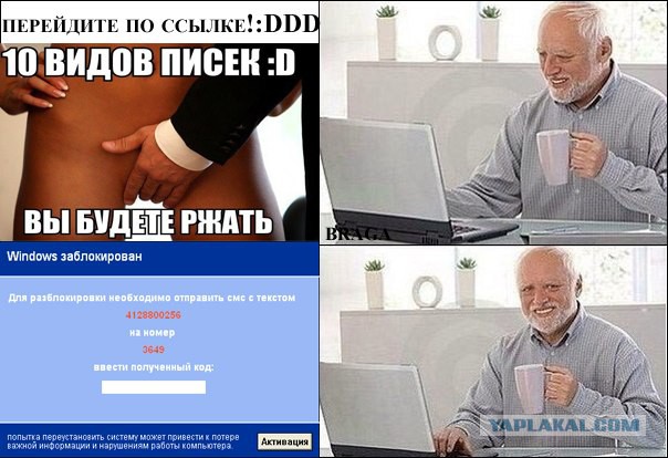 8778389.jpg