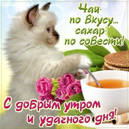 a852f3d067d553b9c9d403340b5cc2f0.jpg