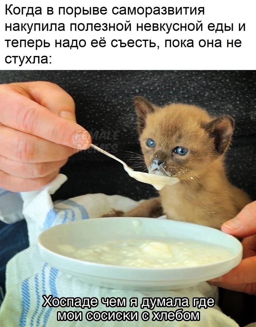 B0BLSrUsANw.jpg