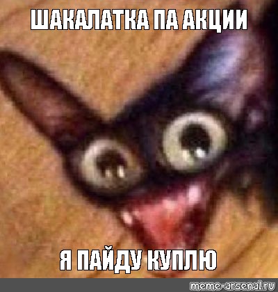 bacd8d51c895a1c51f653a2452c8922b.jpg