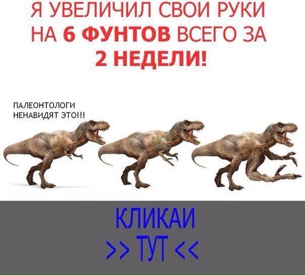 f9TCN0MbAUU.jpg