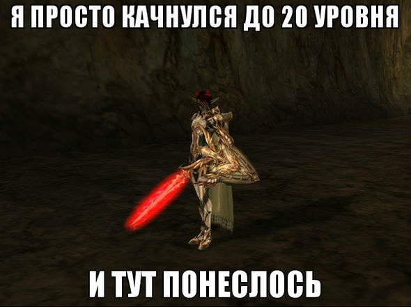 l2.jpeg