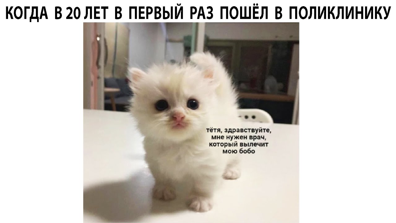 maxresdefault.jpg