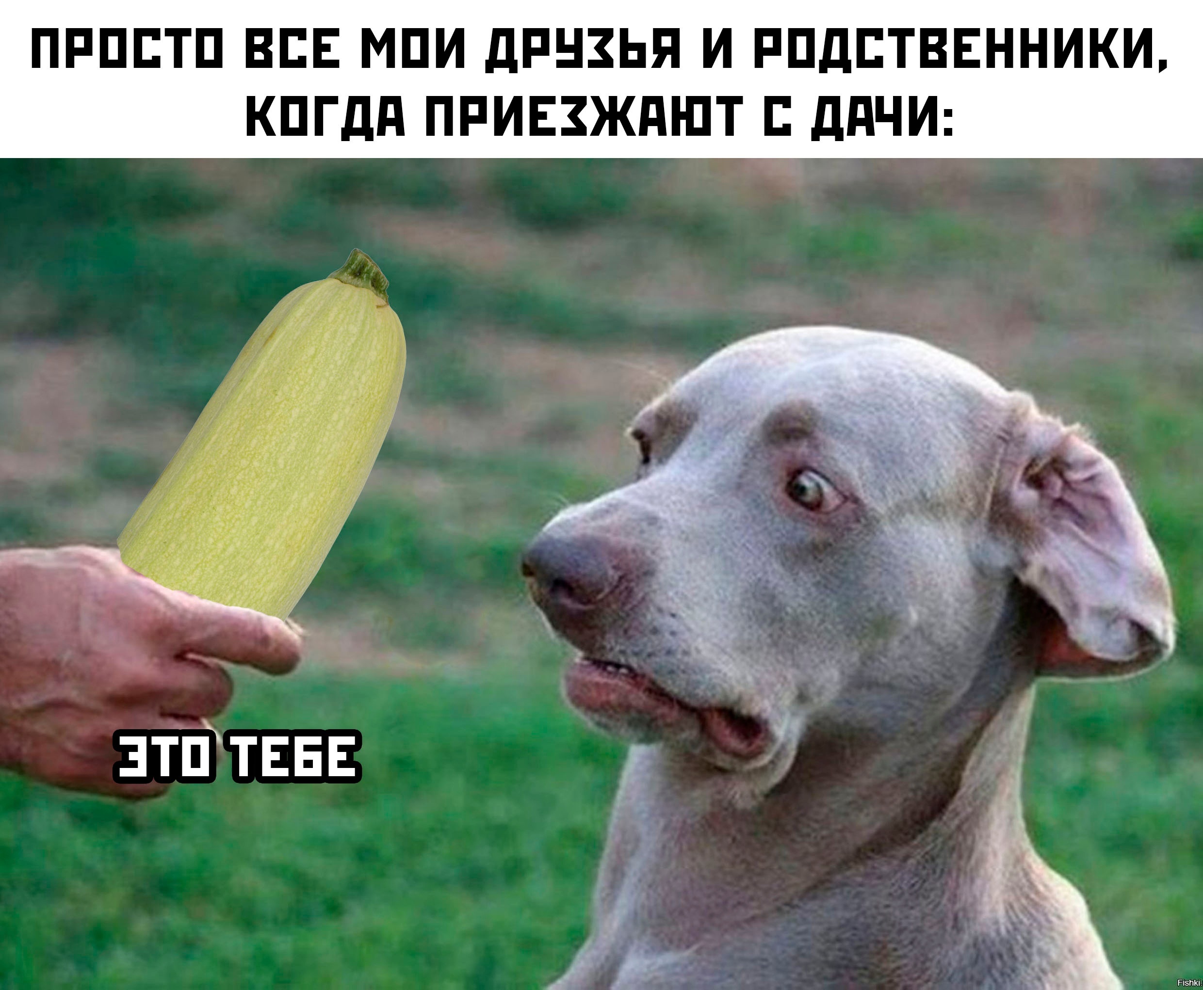 uARK8vJoq3Z0iuDT5go70QhFpwYvzPNGDEGRIfv--n-CfzL0sQmugqlynmA0QGXn0NNQhvdrXQfKGZPwj1DukE0n.jpg