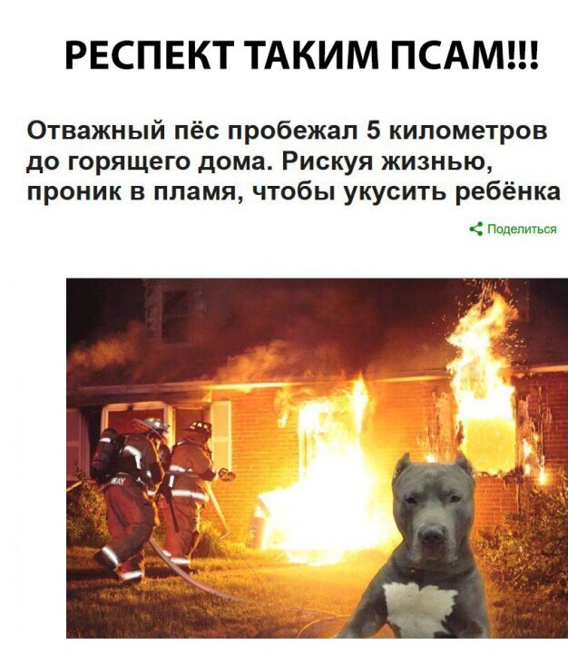 V9Ika_Q3Uwg.jpg