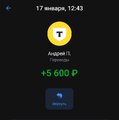 Screenshot_2025-01-18-17-12-20-121_com.idamob.tinkoff.android-edit.jpg