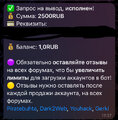 IMG_0385.jpeg