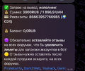 IMG_5952.jpeg