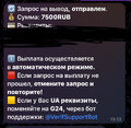IMG_0142.jpeg