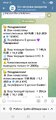 Screenshot_20251029_205220_Telegram.jpg