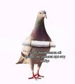 87b4100b-badd-4b8a-bba7-fcd7ec55c502.png