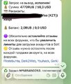 IMG_5387.jpeg