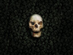 Vlad