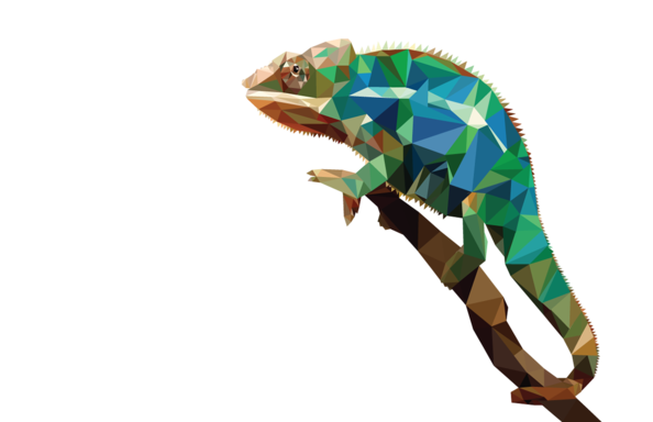 chameleonhead