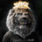 Macan_77