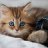 peskarik