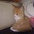 Andrey388